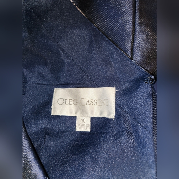 Gorgeous Mother of the Bride Dress - Picture 12 of 14